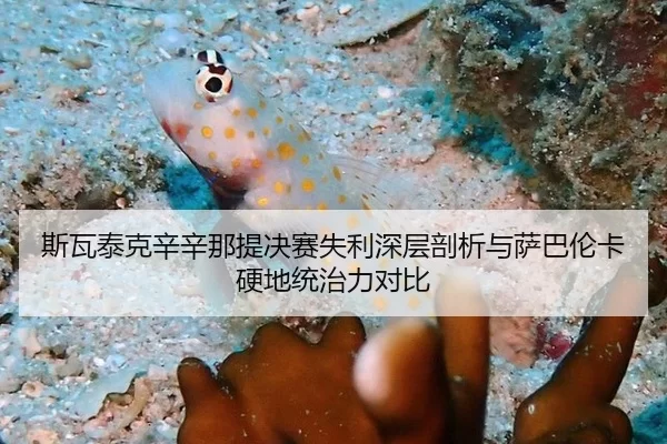 斯瓦泰克辛辛那提决赛失利深层剖析与萨巴伦卡硬地统治力对比