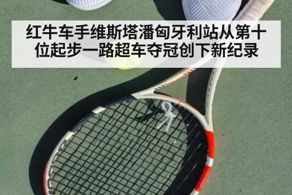 红牛车手维斯塔潘匈牙利站从第十位起步一路超车夺冠创下新纪录